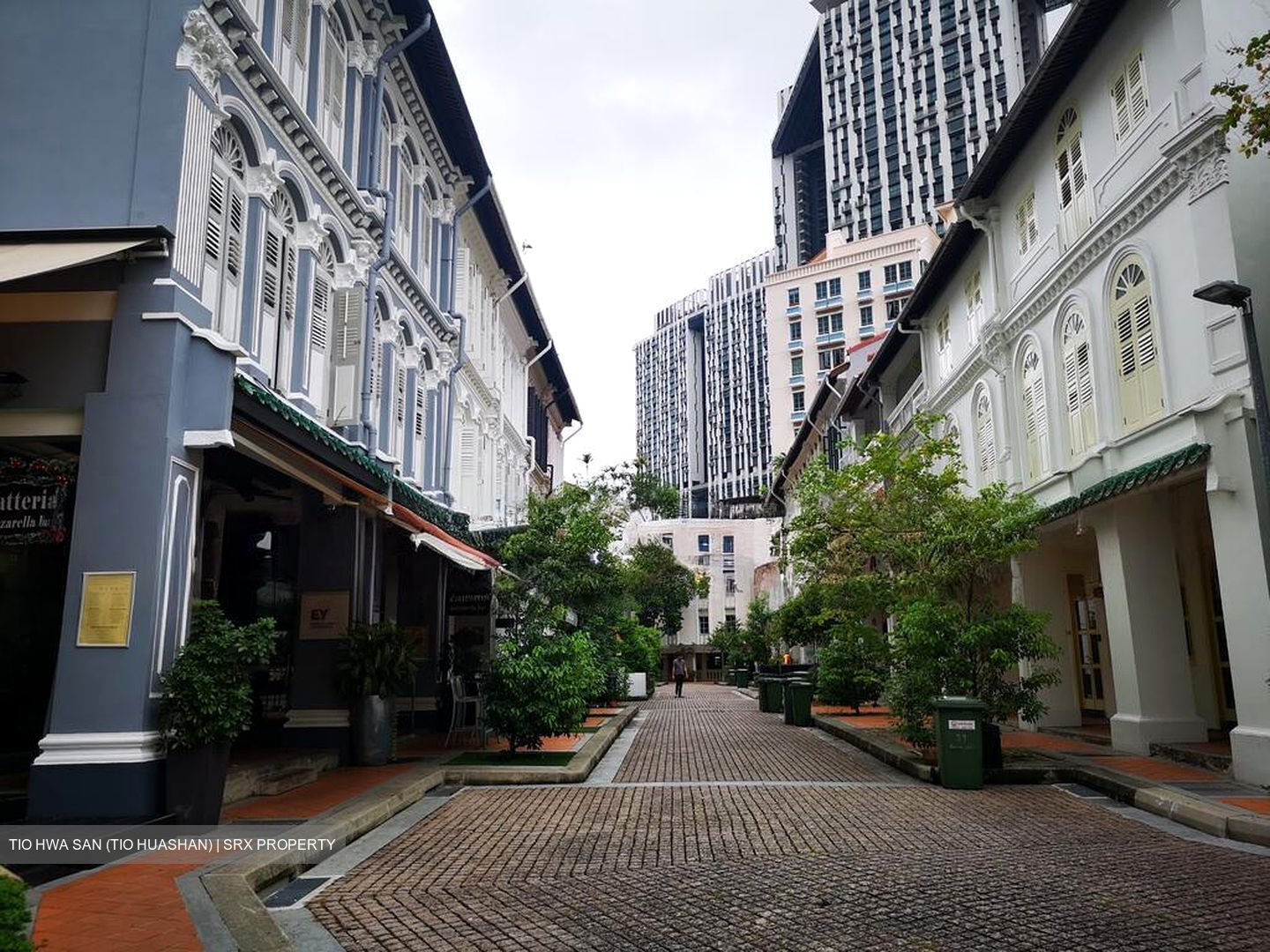 Tanjong Pagar Conservation Area (D2), Shop House #603554781